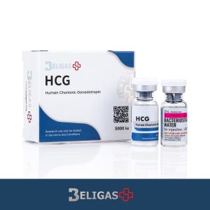 성선 HCG 5000IU