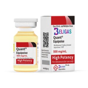 이퀴포이즈 500mg