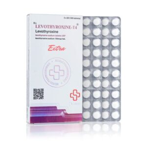 T4 레보티록신 100mcg 100정