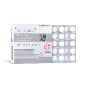 놀바덱스 20mg 50정