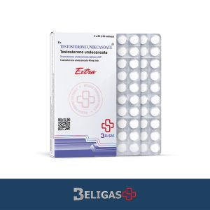 테스토스테론 운데카노에이트 40 mg 100정 (테스토스테론 경구용)