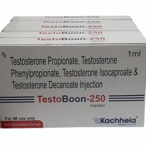 서스타논 250mg 앰플 (1x10)