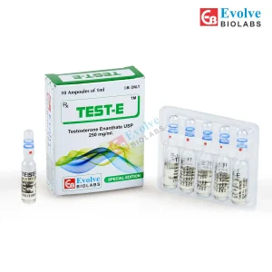 테스토스테론 에난데이트 250mg 앰플  (1×10)